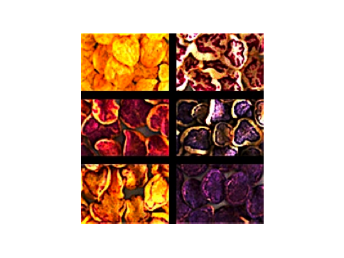 chips-couleurs-filtered chips-couleurs-filtered