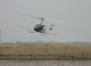 helicoface3